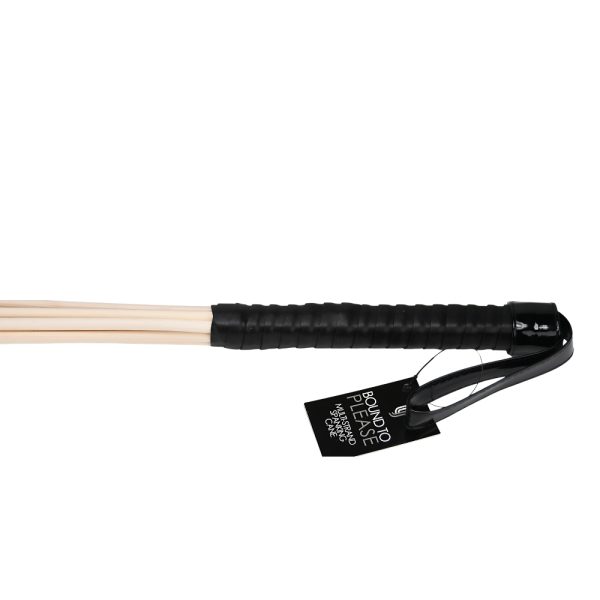 Bound to Please Multi-Strand Spanking Cane - Image 5